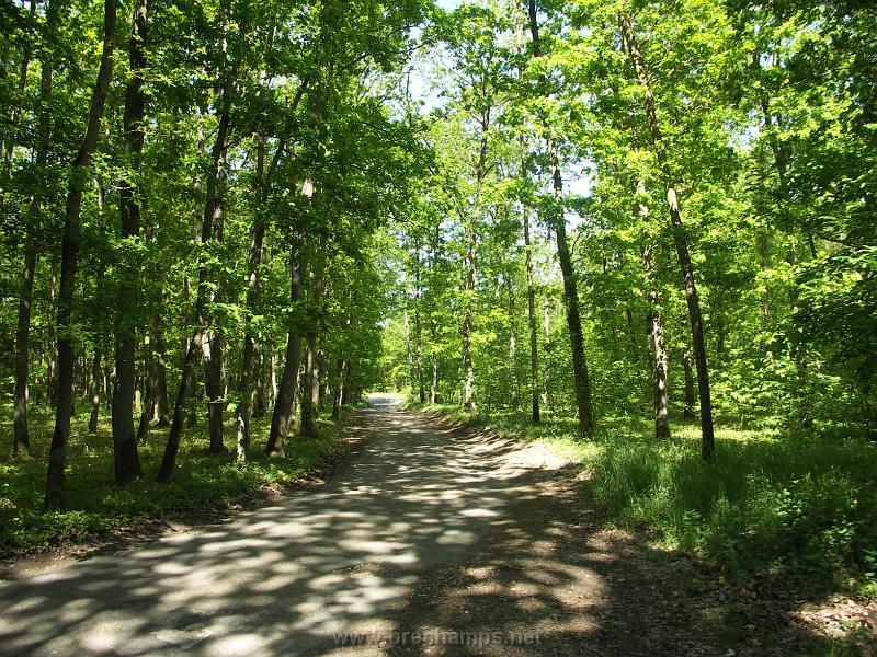 ballade_brechamps_040