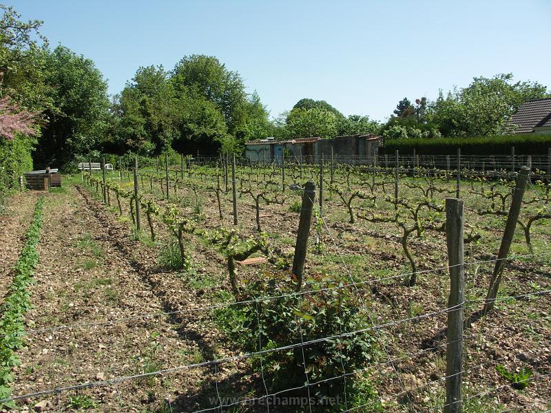 ballade_brechamps_041